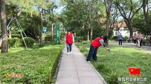 泰安市园林绿化6686体育管理服务中心：珍爱古树 从我做起(图1)
