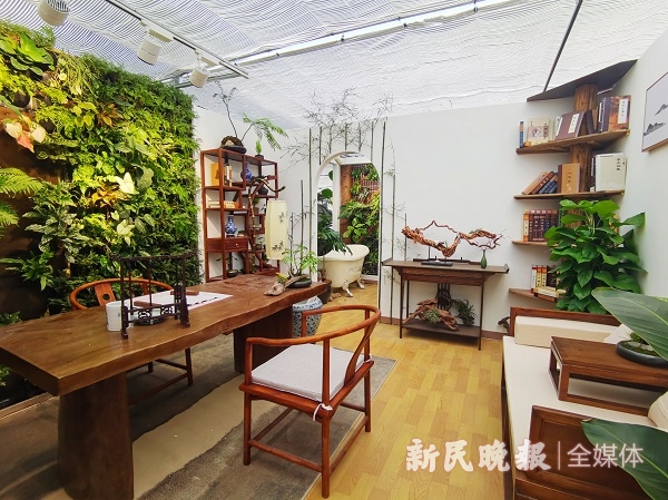 6686：两室一厅“植物样板间”太美了！上海家庭园艺展开幕(图1)