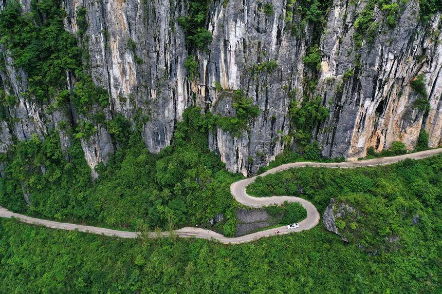 6686体育app：南山植物园推介家庭园艺教你打造自家花园(图3)