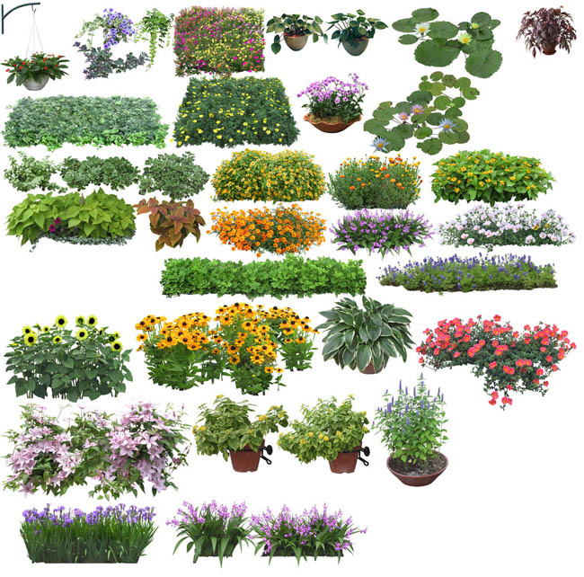 6686体育官方：绿植APP