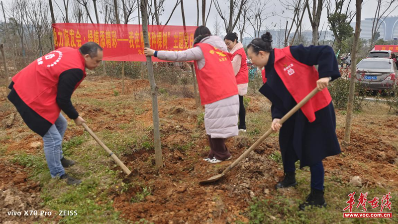 6686体育app：衡阳市先锋街道社区卫生服务中心：助力旅发会 绿植添精彩(图2)